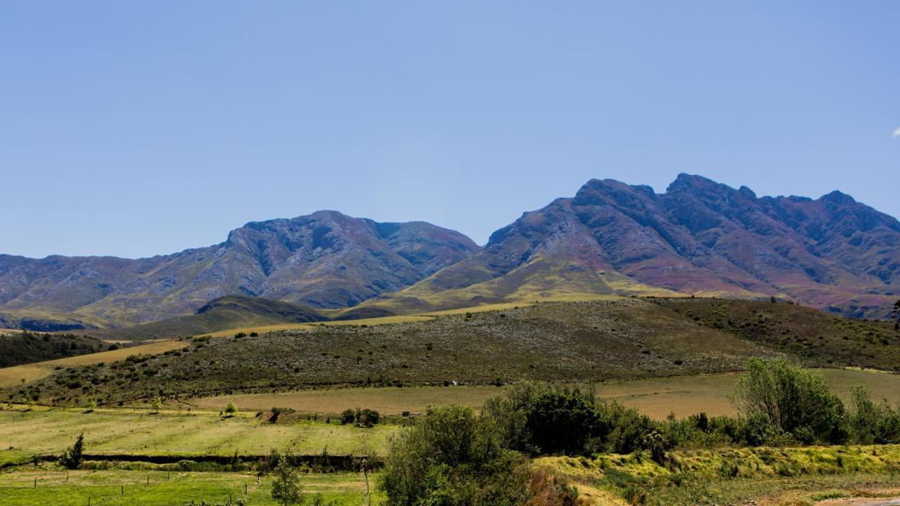 Joubertsdal Country Estate Vendégház Swellendam Kültér fotó